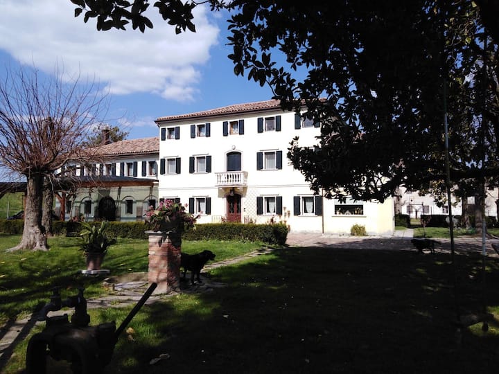 Sant'Anna di Boccafossa Vacation Rentals & Homes - Veneto, Italy | Airbnb