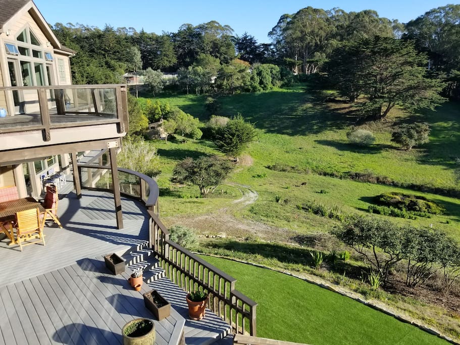 Expansive meadow views with resident wildlife!