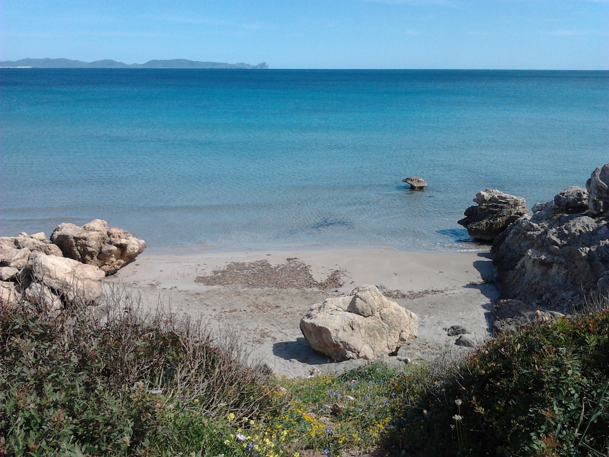 A serene beach scene shows gentle waves lapping against a sandy shoreline, dotted with smooth rocks. Lush greenery and wildflowers frame the view, while distant hills are visible along the horizon under a clear blue sky.