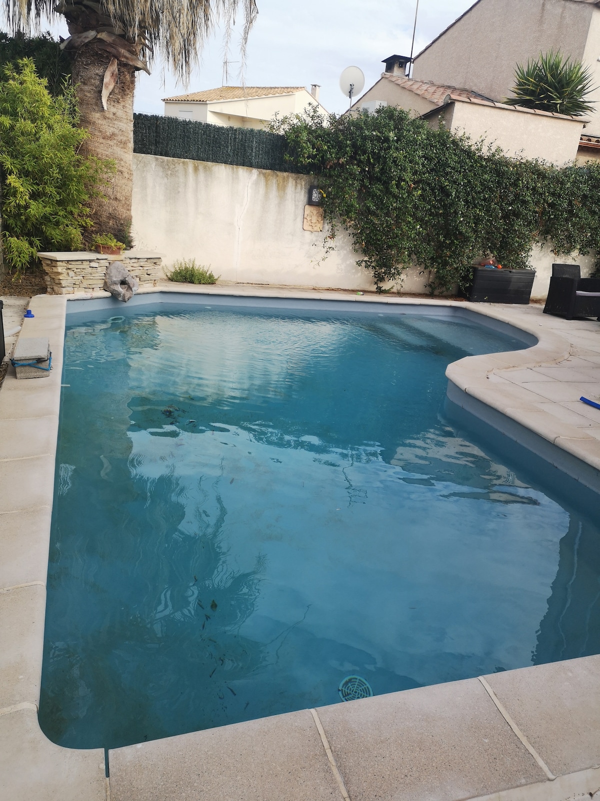 A tranquil private pool is surrounded by a patio area, with stone edging providing a natural feel. Lush greenery lines one side of the pool, and the clear blue water invites relaxation and leisure in a serene outdoor setting.