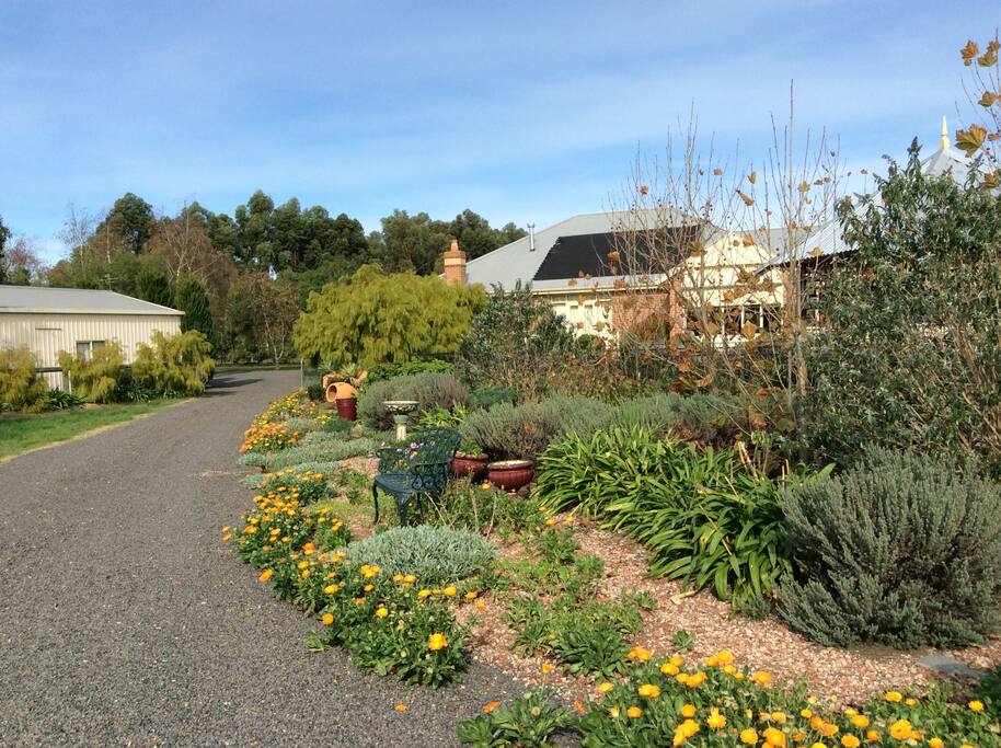 Part of the Gravel Garden ! My gardens in what I call “ The Dam Garden “ are based around a theme , This garden was designed around a famous English gardener , by the name of “ Beth Chatto “