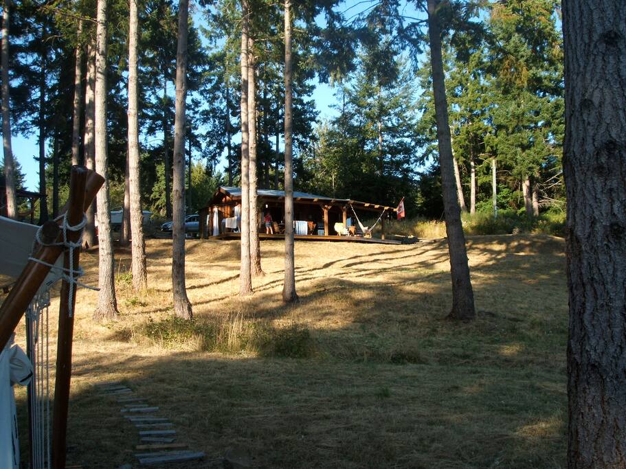 View of the main cabin.
