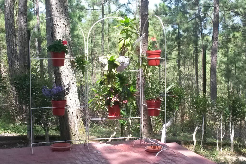 Porch Edificio y Bosque Anexo