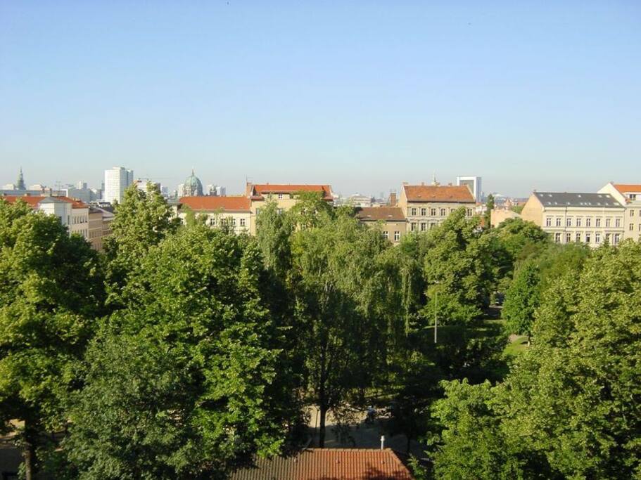 the view II