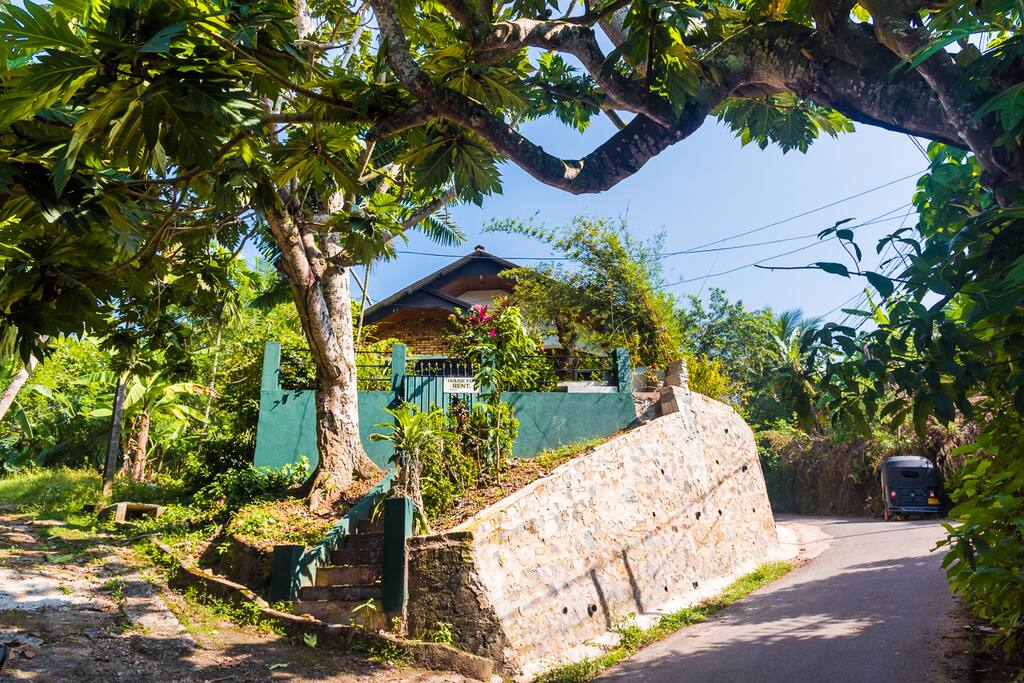 view from the street