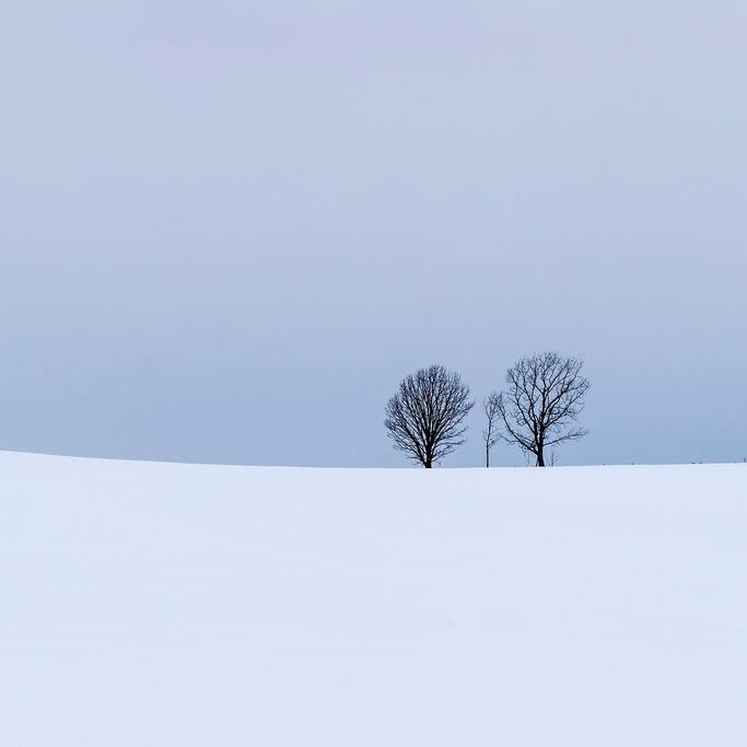 唯美纯净 来看美瑛雪原 北海道旅游攻略 尽在airbnb爱彼迎 唯美纯净 来看美瑛雪原 北海道旅游攻略 尽在airbnb爱彼迎