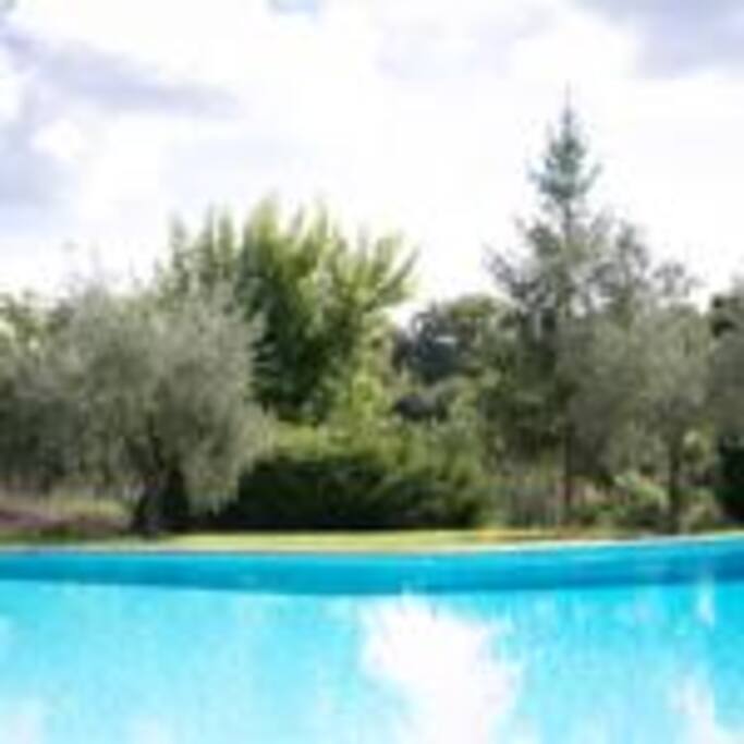 The Swimming Pool