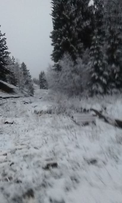 Rockies in the winter time