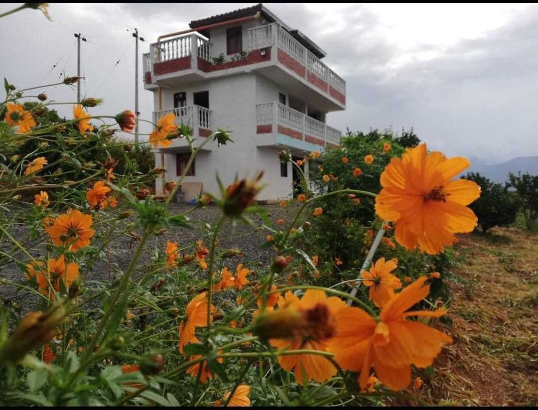 A multi-story building is surrounded by vibrant orange flowers, creating a lively outdoor environment. The structure features decorative railings on the balconies, and the sky showcases a mix of clouds, hinting at a scenic landscape in the background.