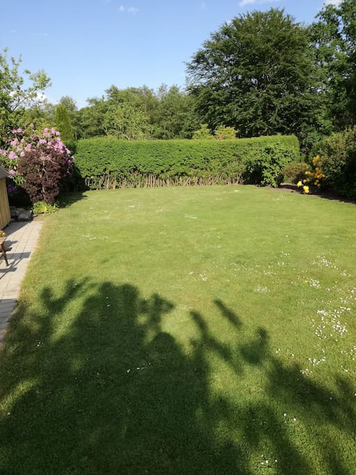 Lawn