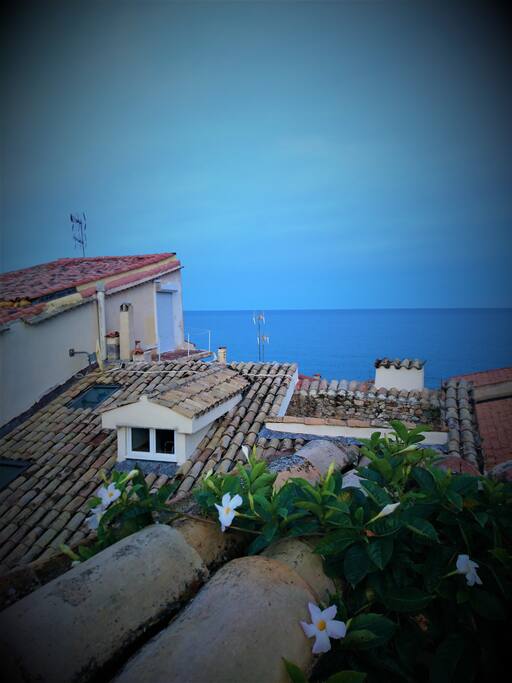 View from the panoramic terrace