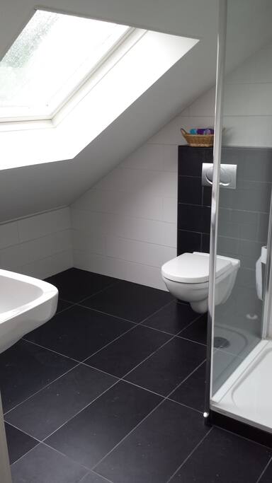 pas vernieuwde badkamer met douche, zwevend toilet en wastafel