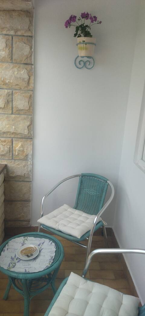 Top performing Airbnb: Tuja Apartment in Jadrtovac