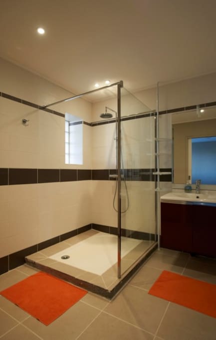 La salle d'eau à une grande douche