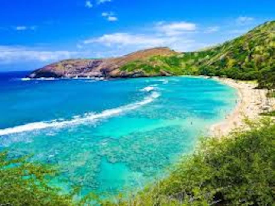 Makaha, 1mile walk/drive to the Entire CONDO just 4U!
