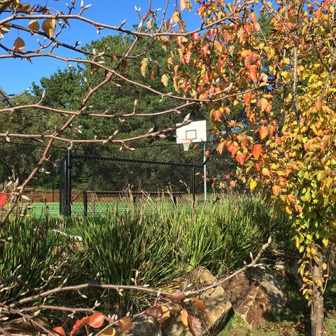 Red Hill Lavender Farmhouse gallery image 3