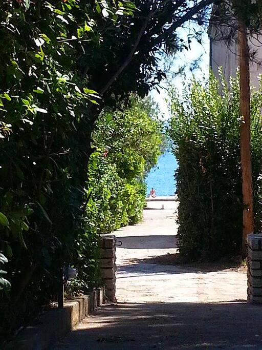 The view on the Adriatic sea from the yars