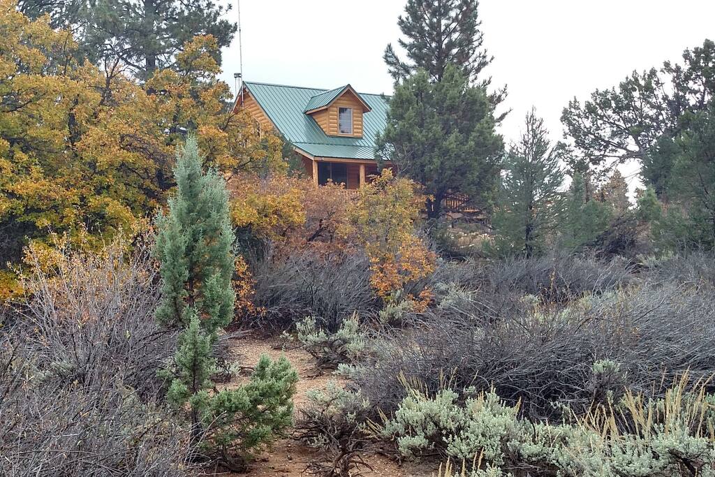 Front of cabin