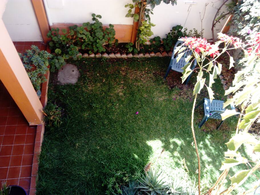 Jardín común