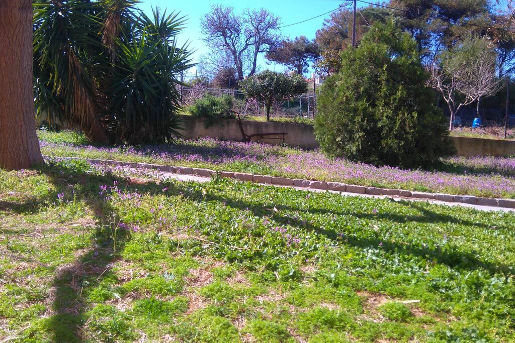 Κήπος / Garden