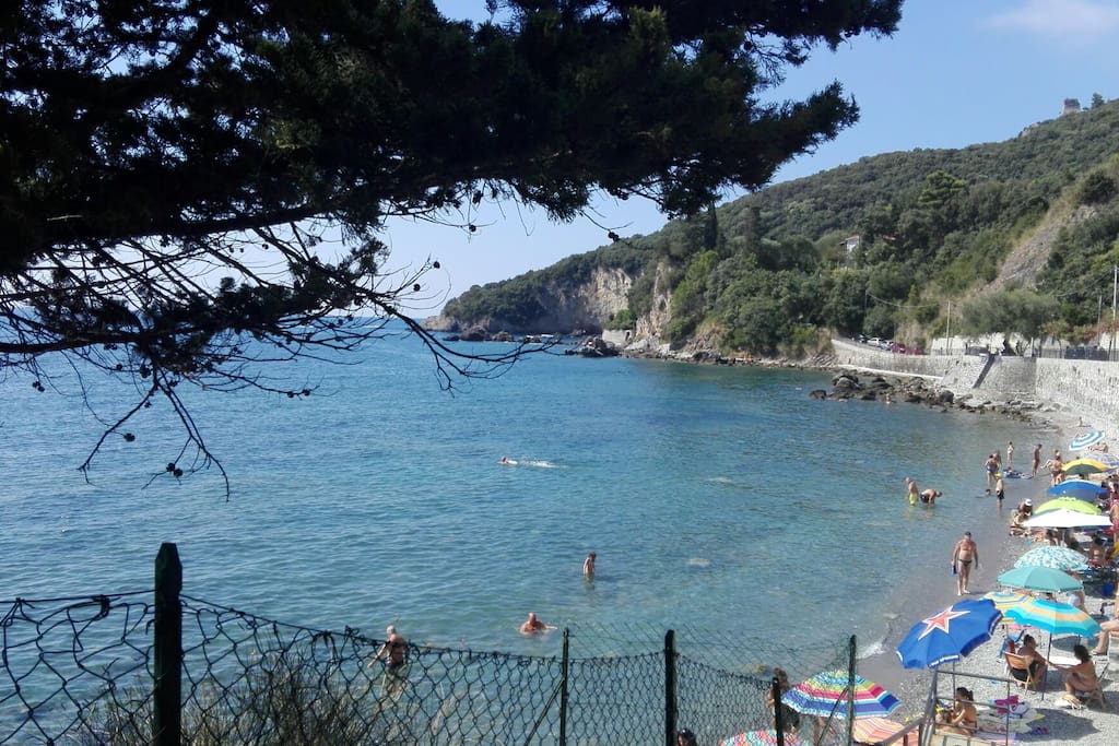 Scario
