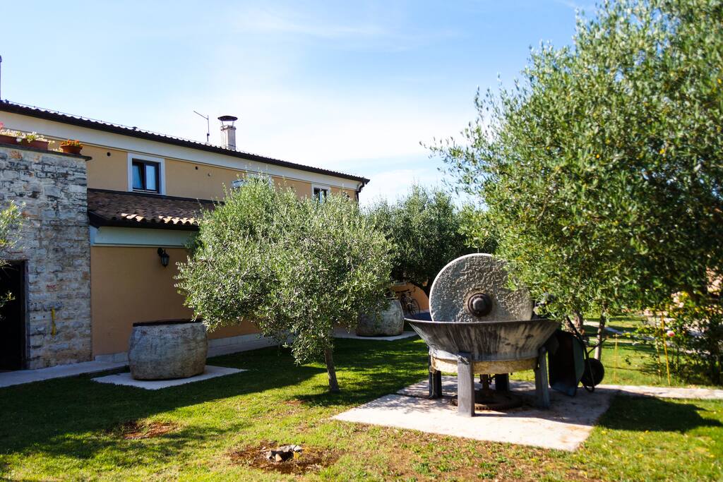 Guest House Olive..