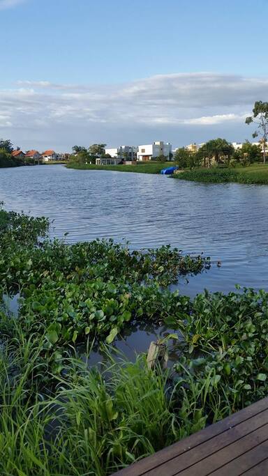 Decks para apreciar a natureza.