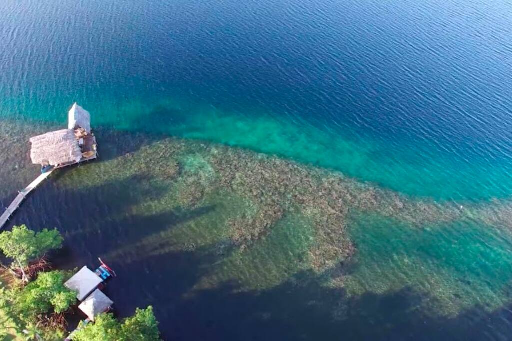 reef around the recreational dock, only footsteps away