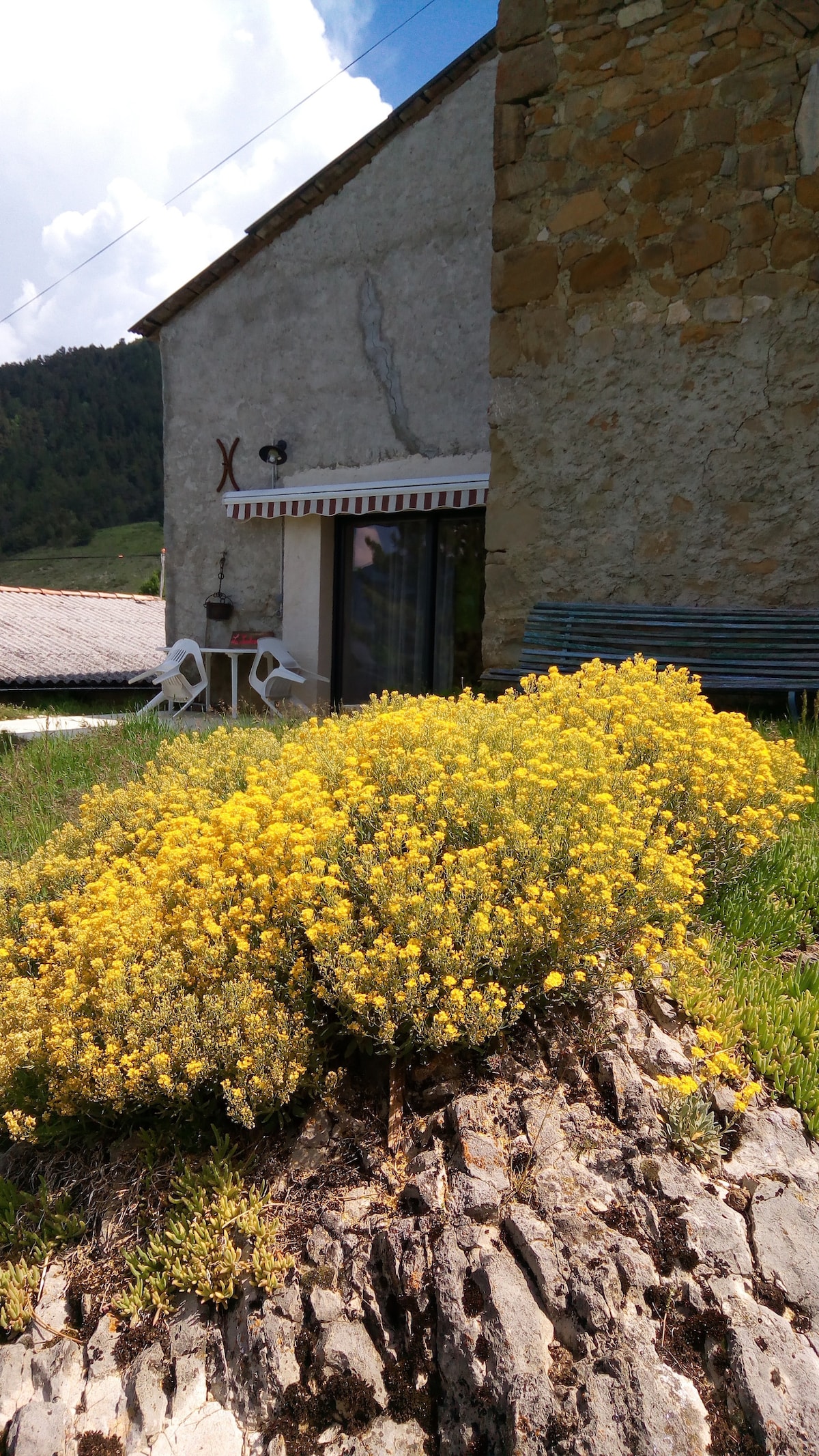 A cluster of yellow flowering plants is prominently displayed in the foreground, contrasting with a stone building in the background. The building features a covered entry with glass doors and a small sitting area with white chairs. The natural landscape showcases a bright blue sky.