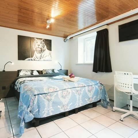 standard room with queen bed