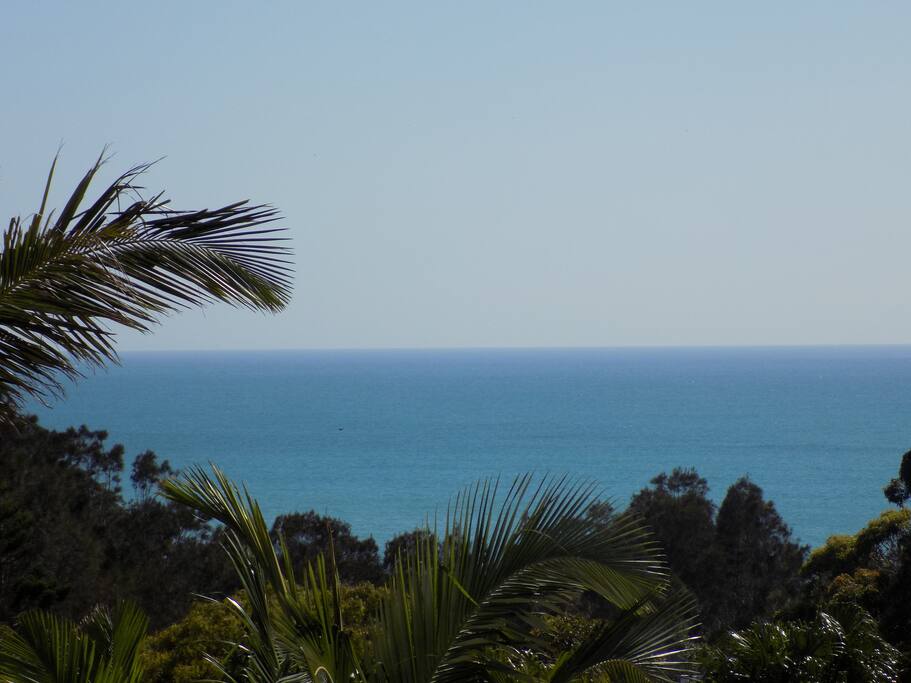 Actual View from Room