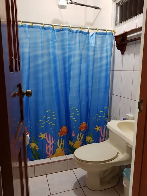 Sanitario y baño