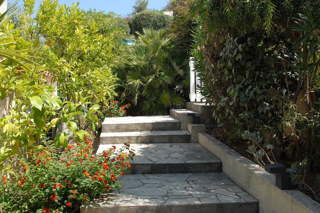 jardin