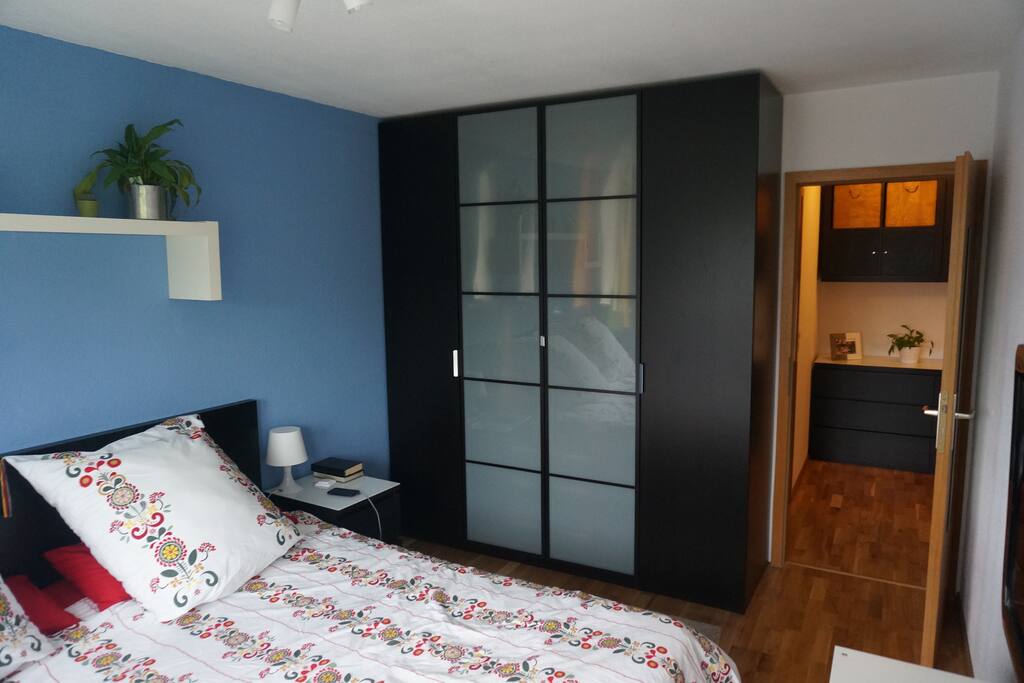 Big closet which accommodates the cloth of up to 2 persons
