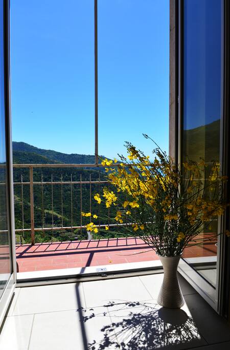 Vista dall'interno camera