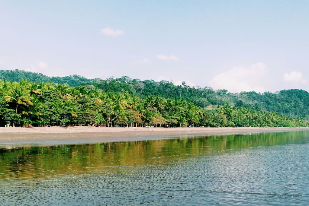 Domical Beach