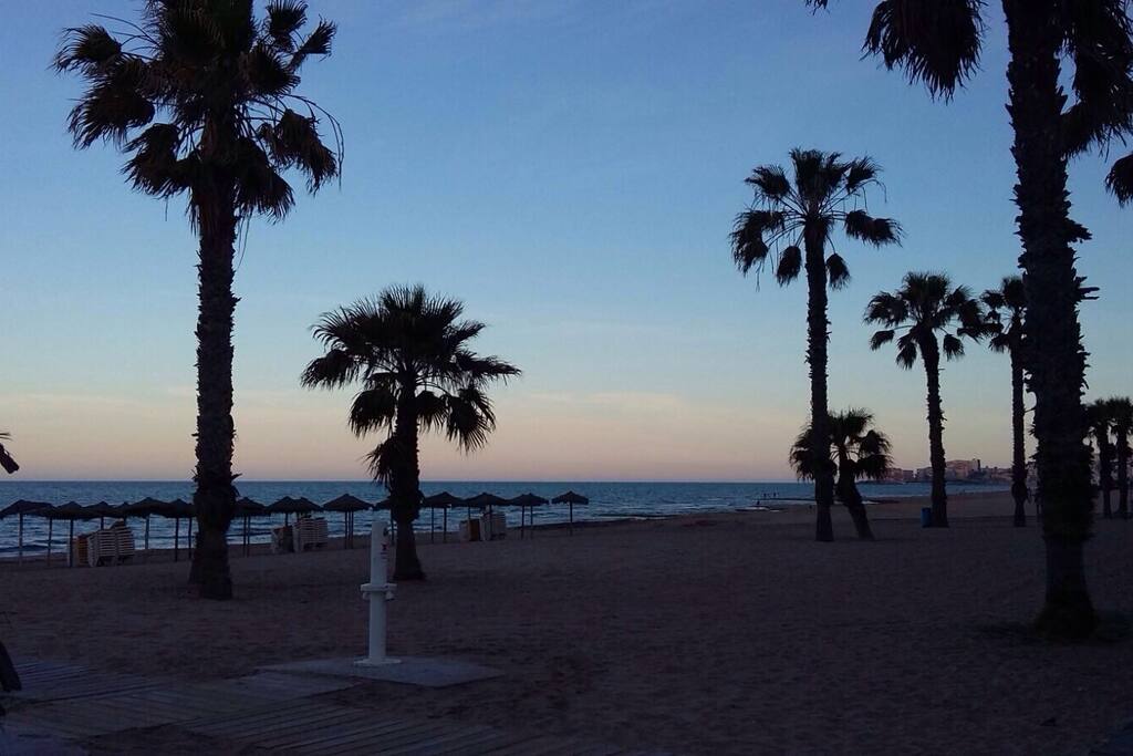 Espectacular atardecer en la mata!