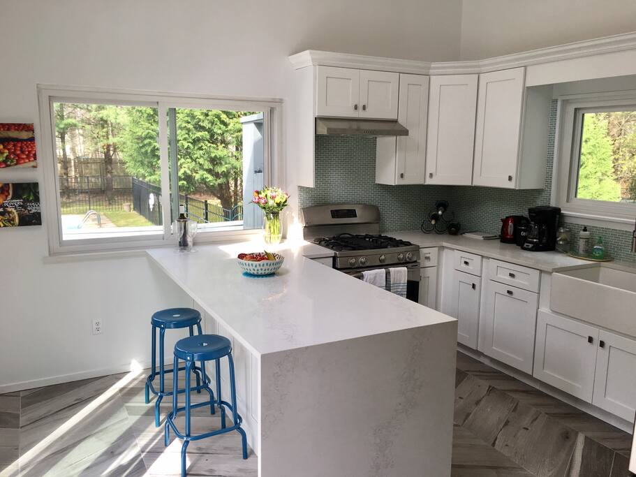 Newly renovated kitchen with stainless steel appliances and a view of the pool and backyard