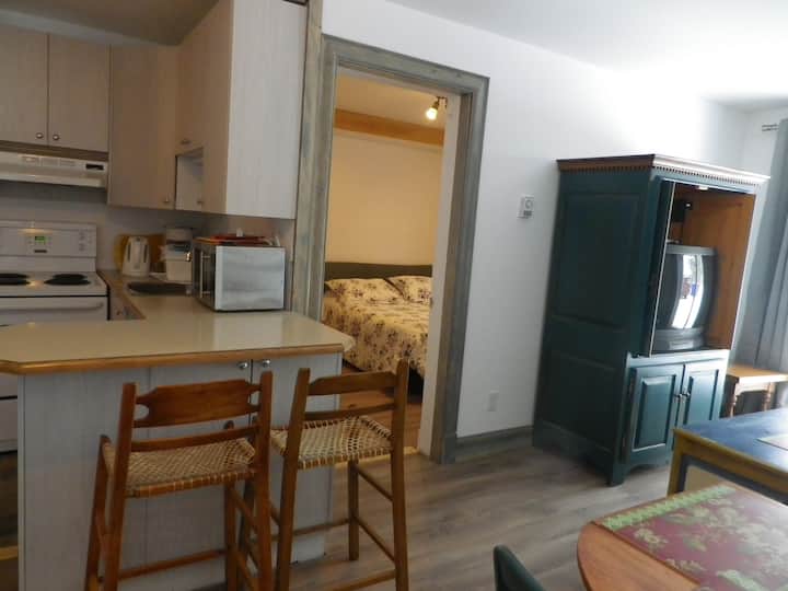 SaintGabrieldeValcartier Holiday Rentals & Homes Quebec, Canada Airbnb