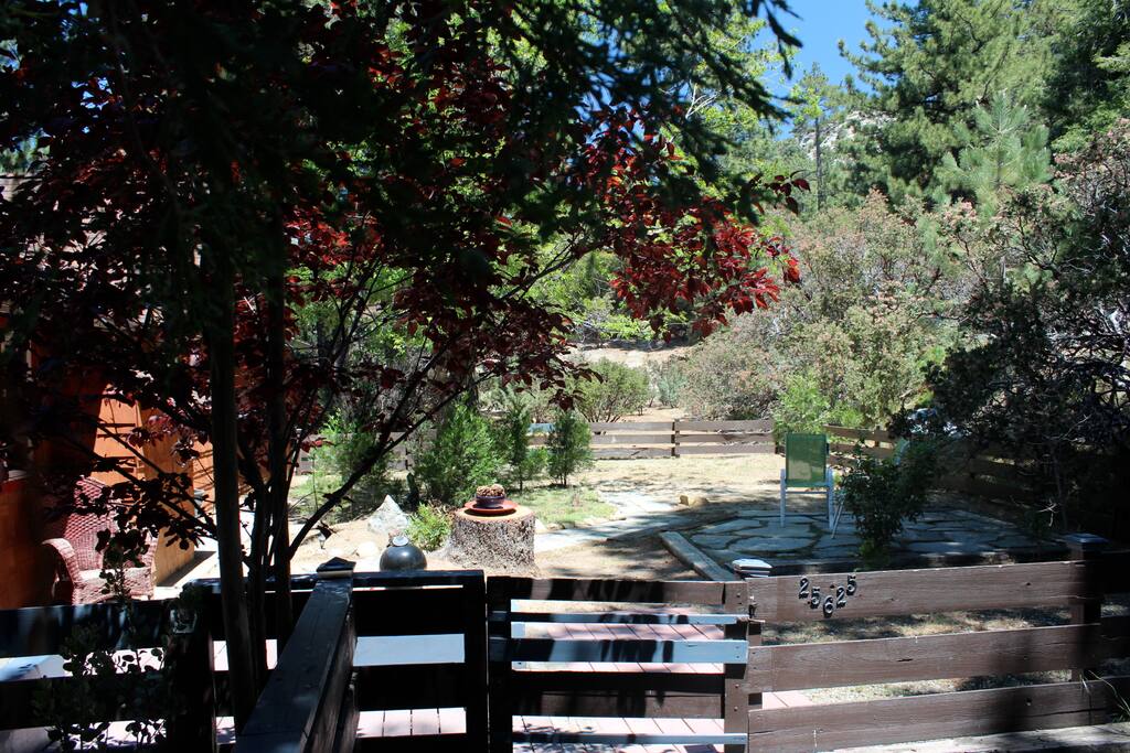 The front yard is fenced and includes a small patio.