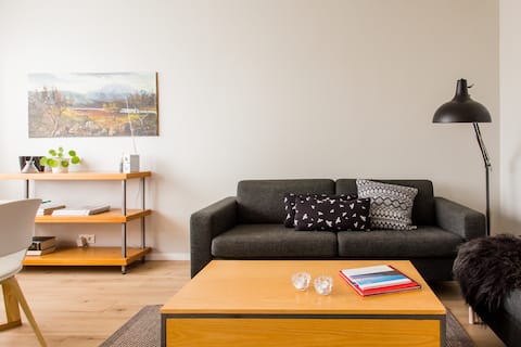 City Center Base in a Prime Location in Reykjavik