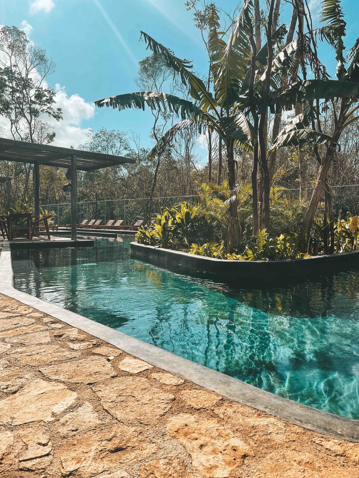 A shared swimming pool is surrounded by lush greenery and palm trees. The clear water reflects the sky, while a stone pathway leads to comfortable lounge chairs positioned nearby. Native plants enhance the tranquil environment, providing a relaxing retreat.