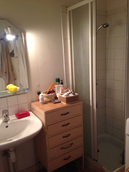 Petite salle de bain fonctionnelle, douche, wc indépendants