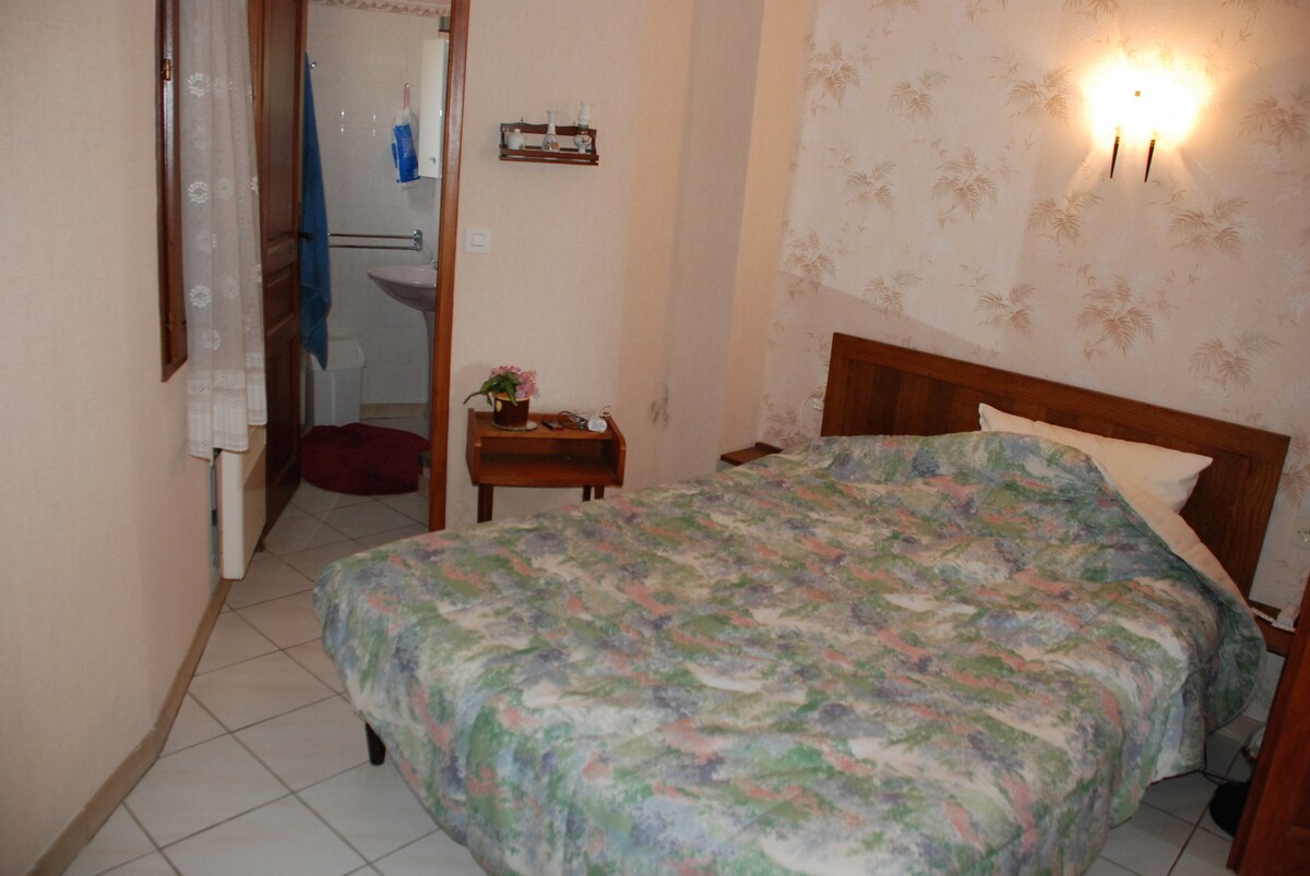 Habitación 1 en la planta baja con SDB y ducha privada