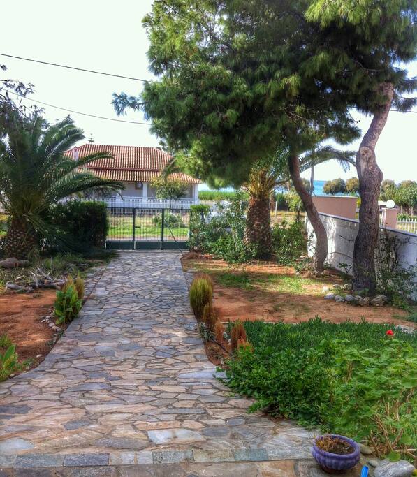 Front yard