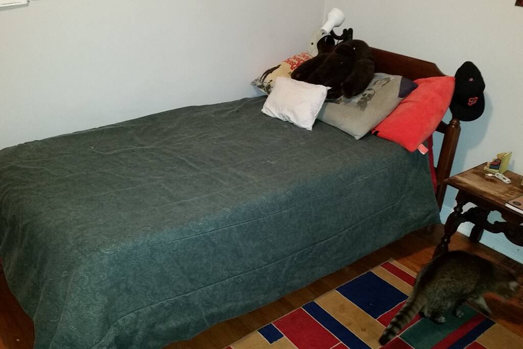 The upstairs bedroom, a.k.a. my son's room (when he's not with me).