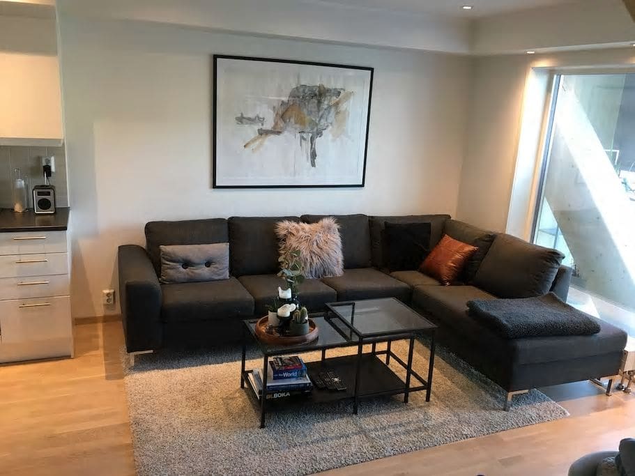 This is our cozy living room! Spacious couch (288 x 200 cm) with room for approximately 5 people