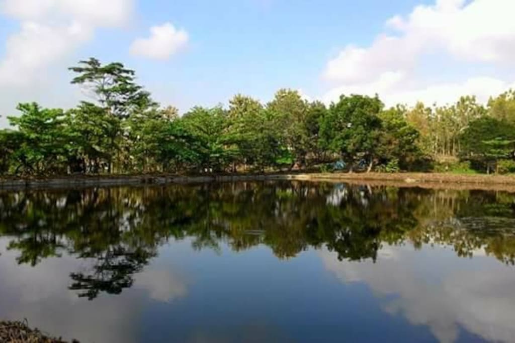 Artificial lake just in front of the property.
