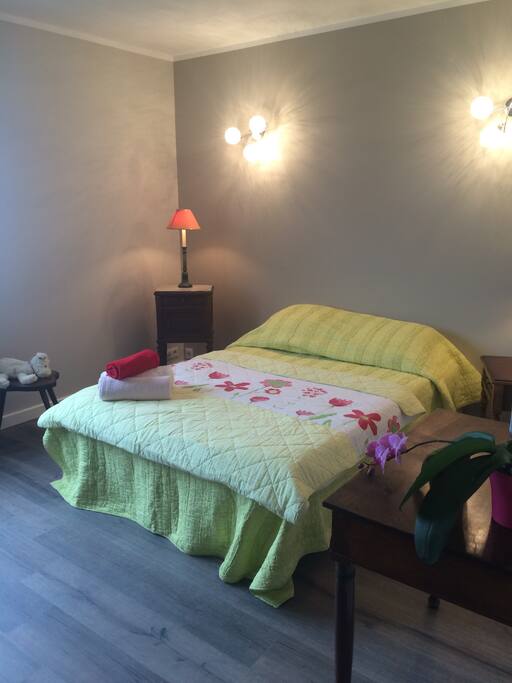 Chambre 1 , parquet au sol , grande armoire de rangement, vue imprenable !