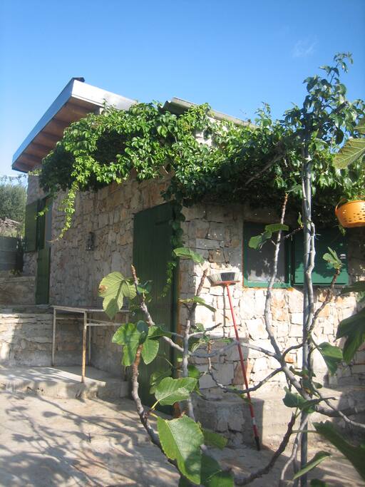 Stone house and kitchen and room